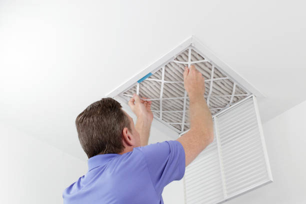 Best Air Duct Mold Removal  in Ball Pond, CT